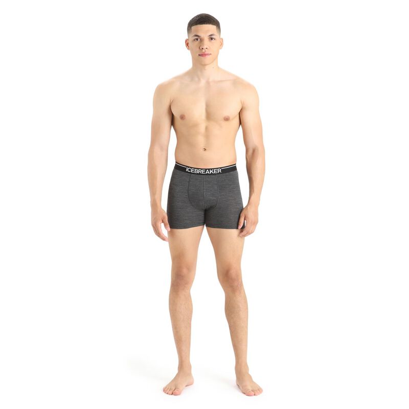 Icebreaker Mens Anatomica Boxers image number 3
